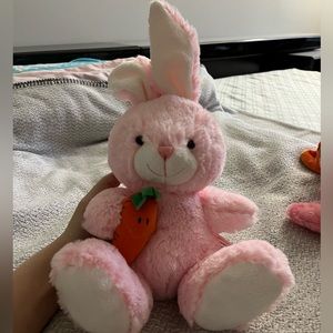 Pink rabbit with happy carrot